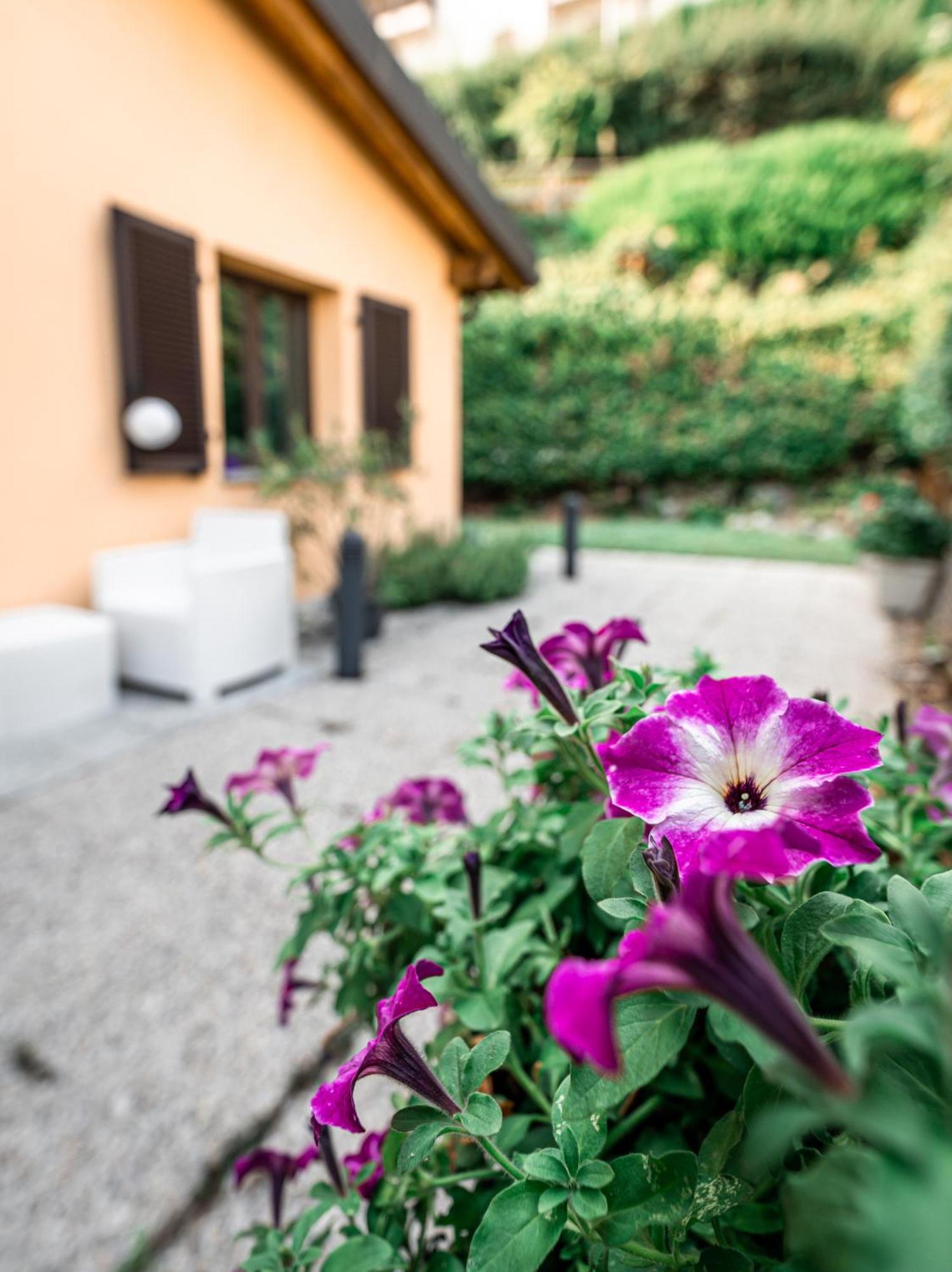 Art Maison Vacallo Exterior photo